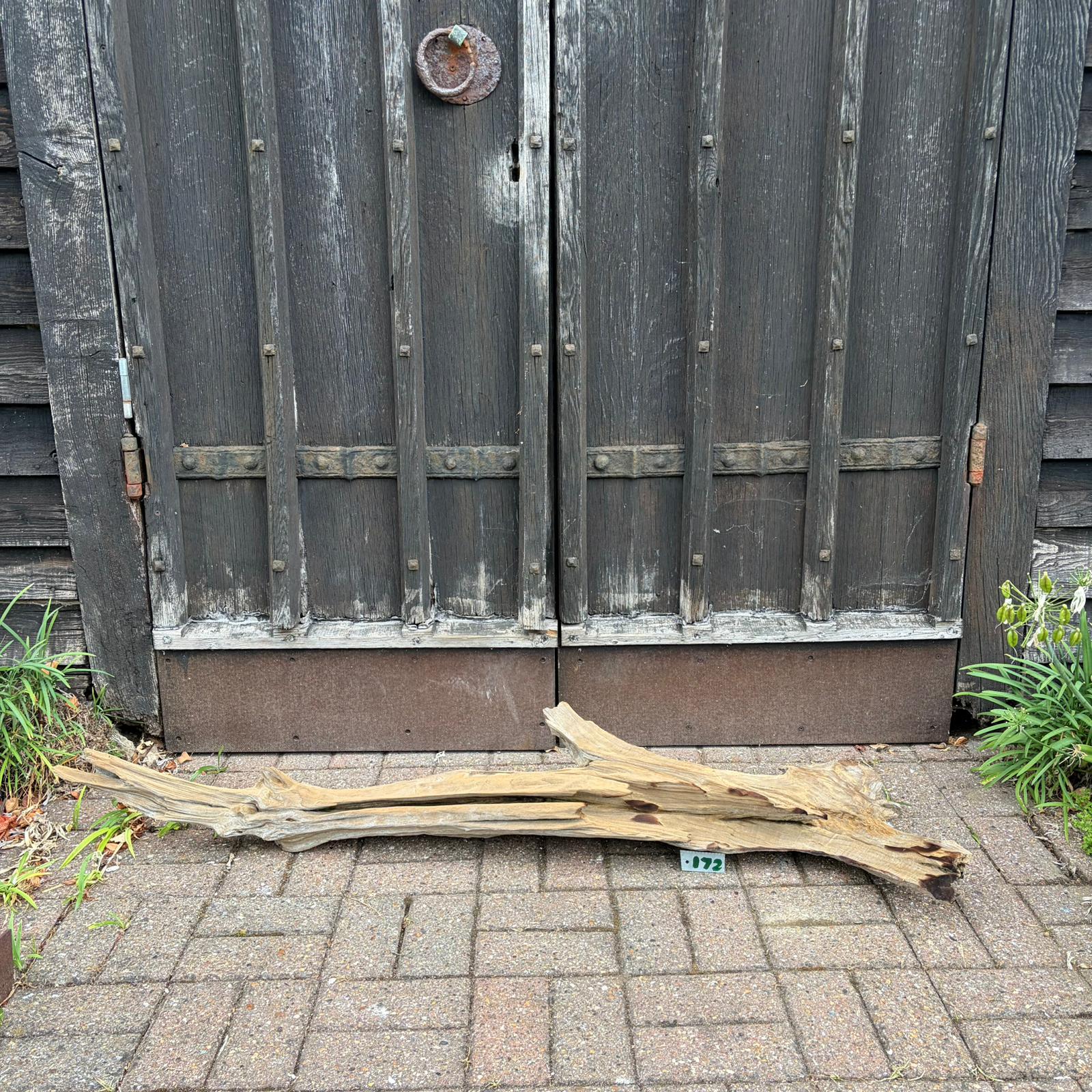 172 Driftwood Sculpture 172 with Free Delivery - Image 1