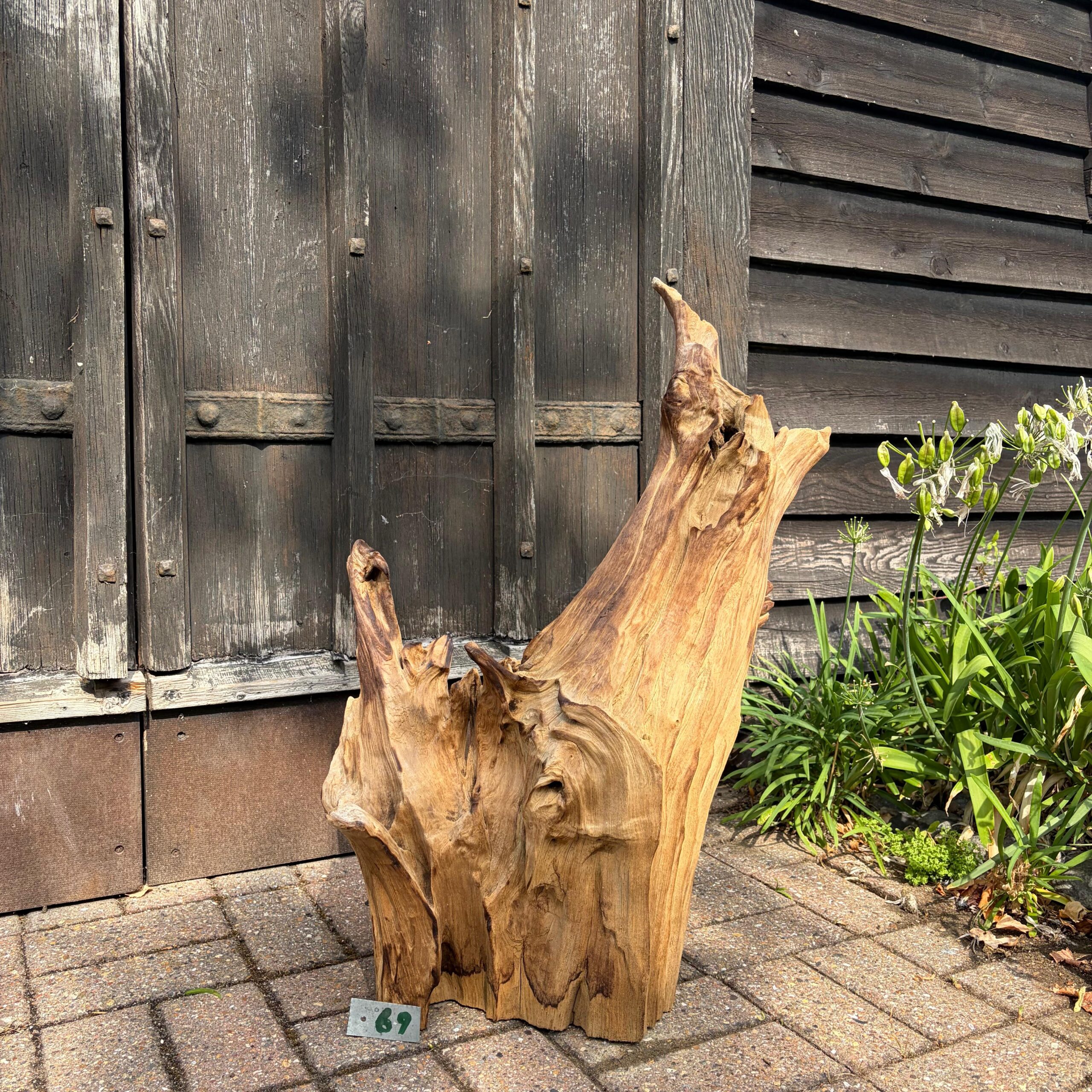 69 Driftwood Sculpture 69 with Free Shipping - Image 1