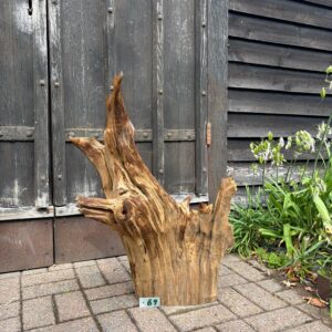 Driftwood Sculpture 69 with Free Shipping - Image 2