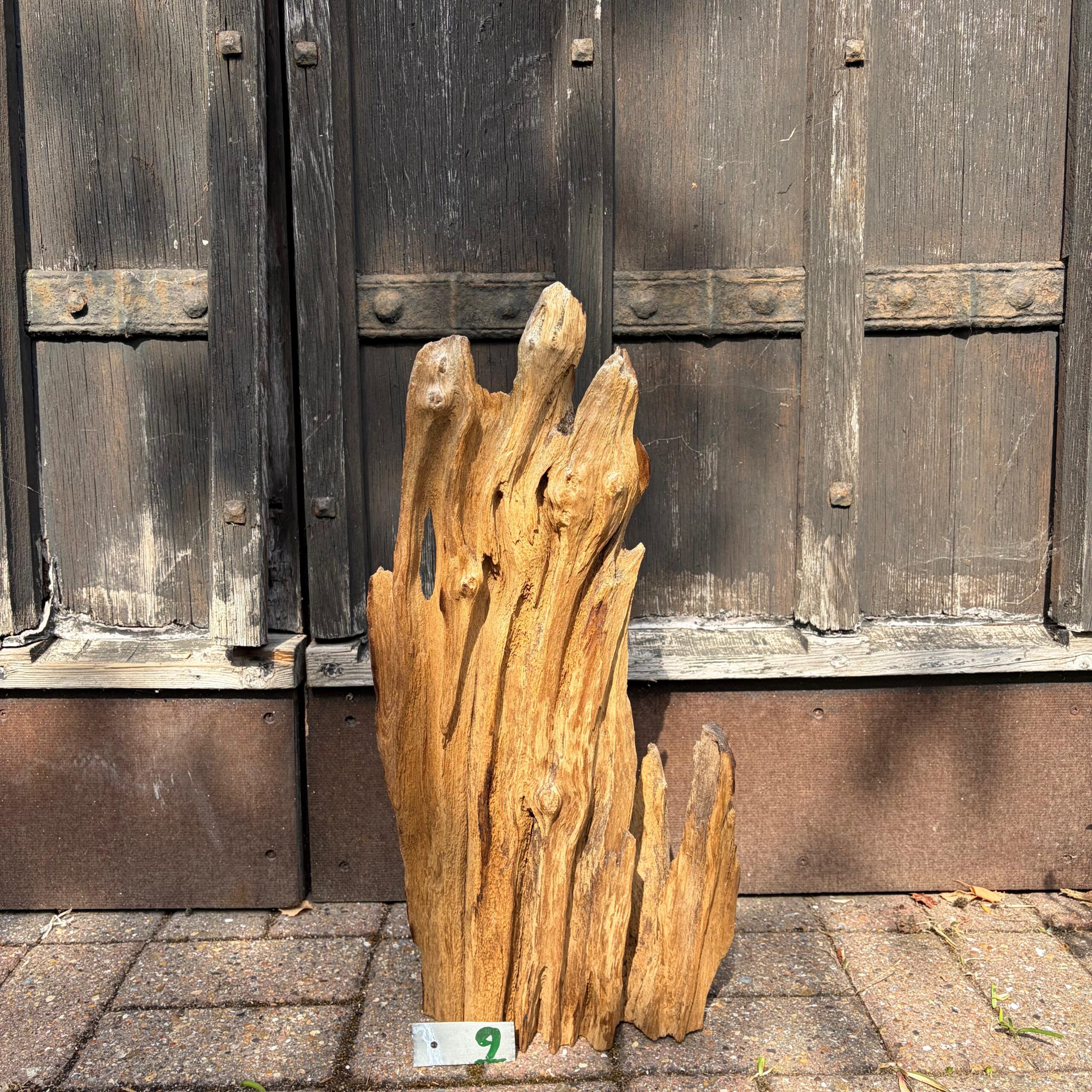 9 Driftwood Sculpture 9 with Free Shipping - Image 1