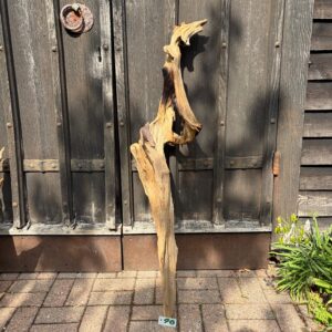 Driftwood Sculpture 90 with Free Shipping